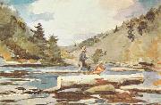 Winslow Homer Hudson River, Logging china oil painting reproduction